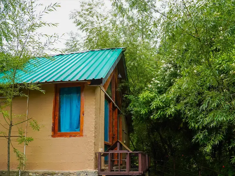 The Bushman Lodge & Camps
